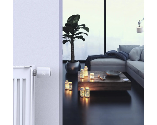 Wohnzimmer mit Heizkörperthermostat, Pflanze und Couchgarnitur