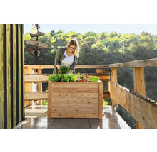 Une femme plante de la salade et des légumes dans un potager surélevé en bois sur une terrasse.