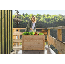 Une femme jardine dans un potager surélevé avec de la laitue et des tomates sur une terrasse avec une clôture en bois