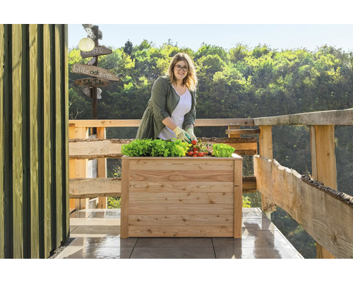 Une femme jardine dans un potager surélevé avec de la laitue et des tomates sur une terrasse avec une clôture en bois