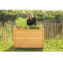 Femme se tient derrière un potager surélevé en bois avec divers légumes dans le jardin