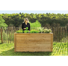 Jardinière en bois avec salade et femme dans le jardin