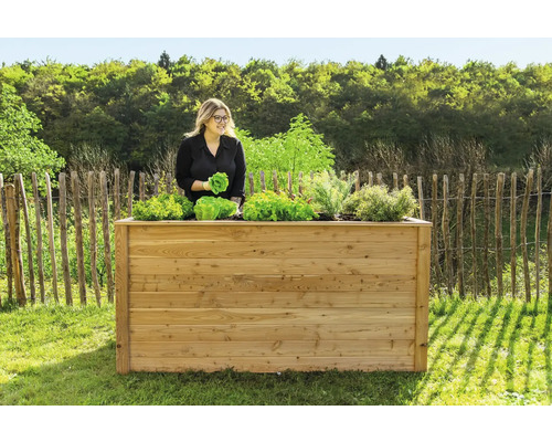 Jardinière en bois avec salade et femme dans le jardin