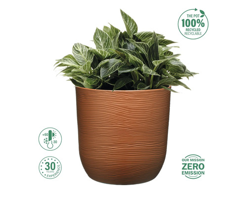 Pflanze im Pflanztopf mit recycelten Materialien und Frostbeständigkeit