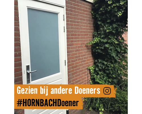 Haustür mit Glaseinsatz und Edelstahlgriff neben einer mit Efeu bewachsenen Ziegelmauer