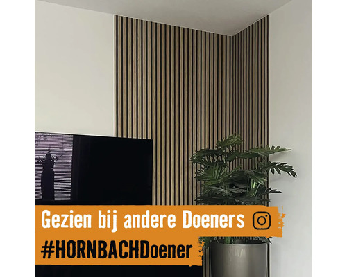 Wohnzimmer mit Akustikpaneelen an der Wand, Fernseher und Zimmerpflanze