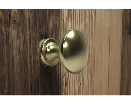 Türknauf aus Metall an Holztür