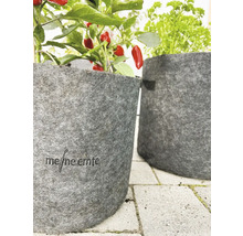 Deux pots de fleurs gris en feutre avec des herbes et un plant de poivron