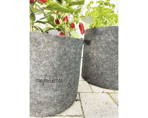 Deux pots de fleurs gris en feutre avec des herbes et un plant de poivron