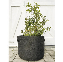 Plante dans un pot de fleurs en feutre
