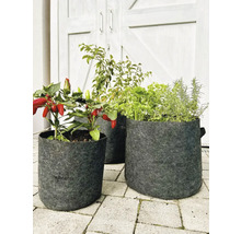 Trois sacs de plantation gris avec des légumes sur le pavé devant une porte