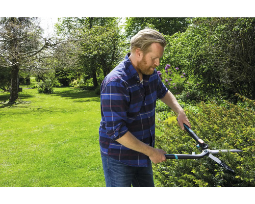 Un homme coupe une haie avec un taille-haie dans le jardin.