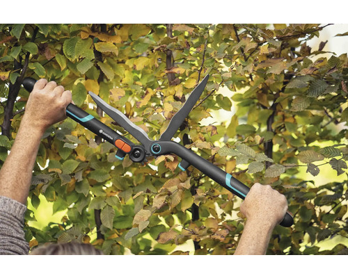 Sécateur de jardin en action sur une haie