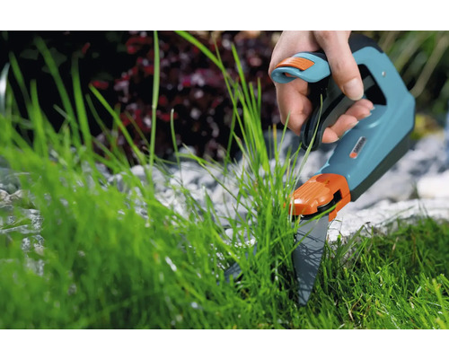 Gartenschere zum Grasschneiden im Einsatz