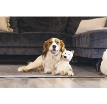 Chien allongé avec un ours en peluche sur le tapis devant un canapé