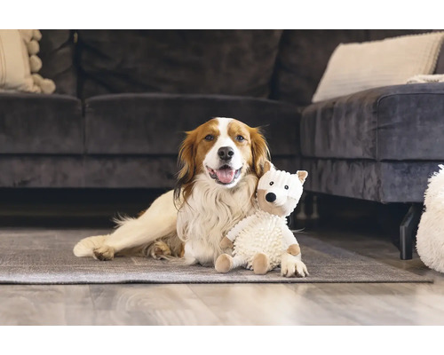 Chien allongé avec un ours en peluche sur le tapis devant un canapé