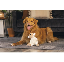 Chien allongé avec une peluche sur le tapis
