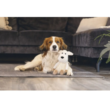 Un chien est allongé avec une peluche sur un tapis devant un canapé.