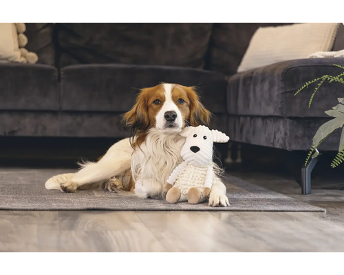 Un chien est allongé avec une peluche sur un tapis devant un canapé.