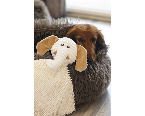 Teckel allongé avec un éléphant en peluche dans un panier pour chien