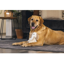Un labrador est allongé avec un jouet éléphant sur un tapis dans un salon.