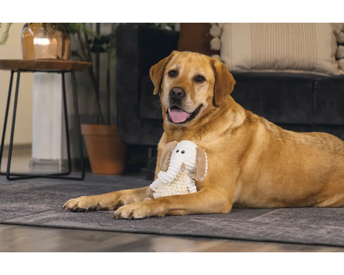 Un labrador est allongé avec un jouet éléphant sur un tapis dans un salon.