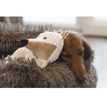 Teckel dort avec un jouet dans un coussin pour chien moelleux