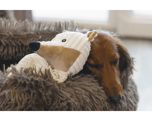 Teckel dort avec un jouet dans un coussin pour chien moelleux