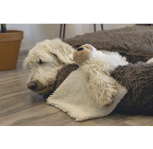 Un chien se repose dans un lit pour chien avec une peluche.