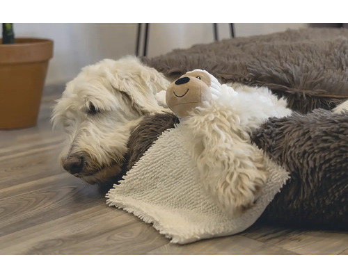Un chien se repose dans un lit pour chien avec une peluche.
