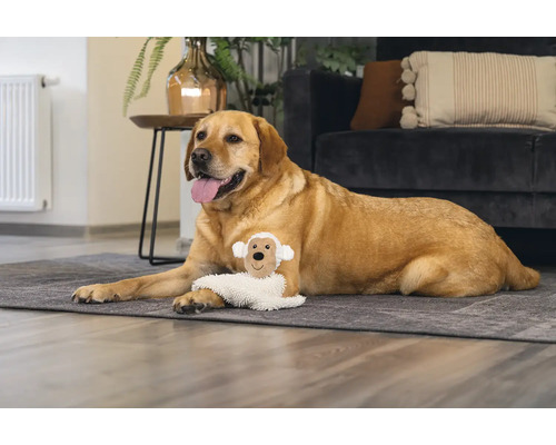 Un labrador est allongé sur un tapis dans le salon avec un jouet pour chien.