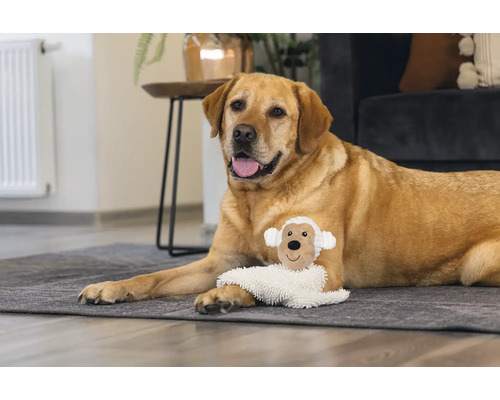 Un labrador est allongé sur un tapis avec une peluche de mouton.