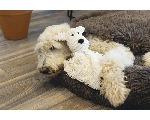 Un chien est allongé dans un panier pour chien avec un jouet pour chien.