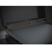 Plaque de cuisson avec couvercle ouvert
