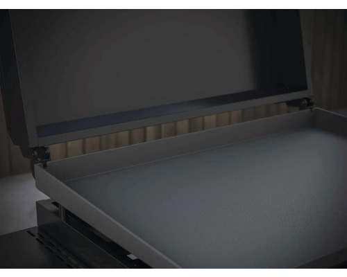 Plaque de cuisson avec couvercle ouvert