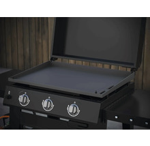 Gril avec trois brûleurs et plaque de cuisson