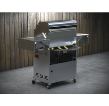 Grill à gaz en acier inoxydable avec étagères et roulettes
