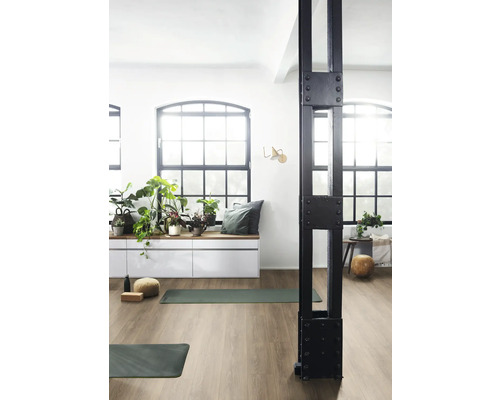 Heller Raum mit Gymnastikmatten, Fensterfront, Pflanzen und einem dekorativen Träger