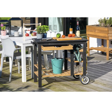 Scène d''extérieur avec table de jardin, chaises et desserte avec étagères et roues