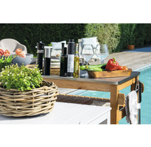 Table de grill avec nourriture, boissons et plantes à côté d''une piscine