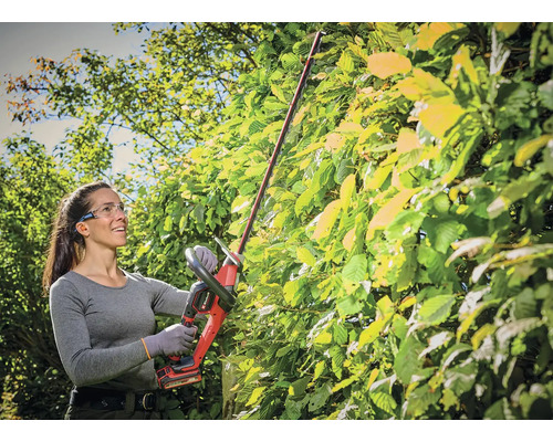 Frau schneidet Hecke mit Akku-Heckenschere im Garten.