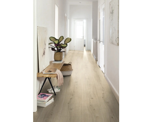 Flur mit hellem Laminatboden, Bank, Pflanze und Dekorationen