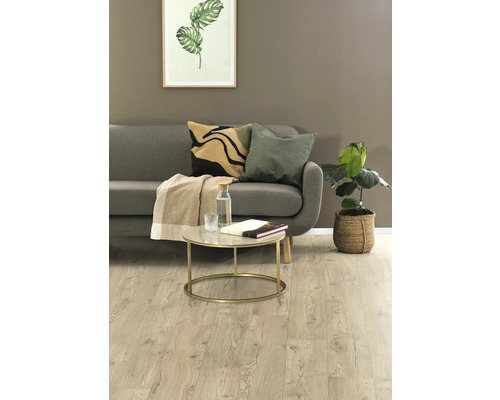 Salon avec canapé, table basse et plante d''intérieur