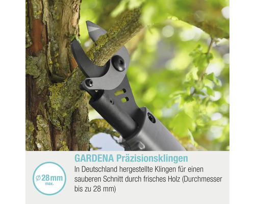 Astschere schneidet Ast