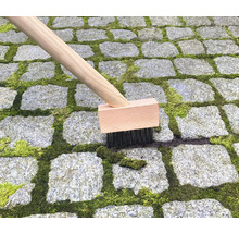 Brosse avec manche en bois enlevant la mousse des pavés.