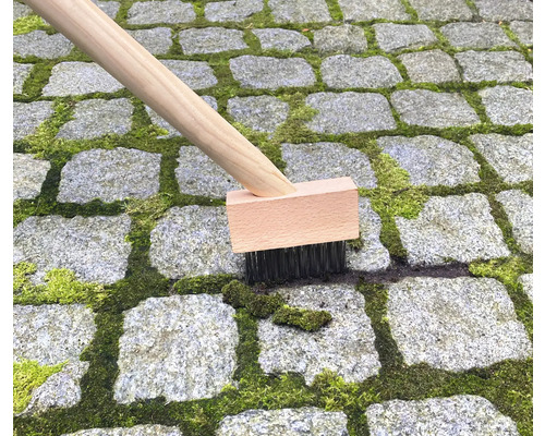Bürste mit Holzgriff entfernt Moos von Pflastersteinen.