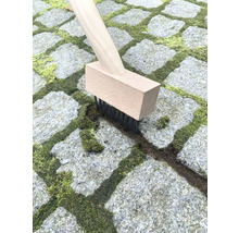Brosse à joints avec manche en bois nettoyant le pavé de la mousse
