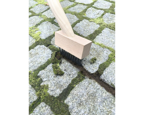 Fugenbürste mit Holzgriff reinigt Pflastersteine von Moos