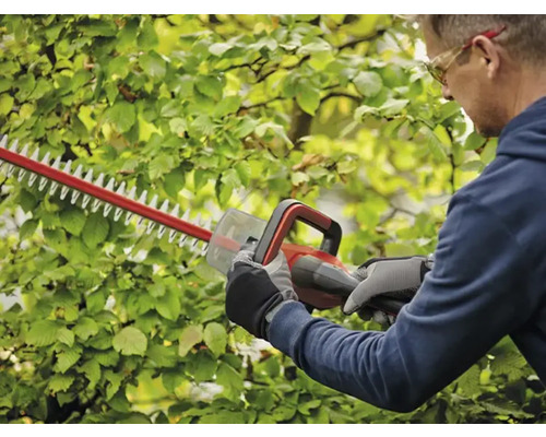 Mann schneidet Hecke mit einer Heckenschere