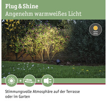 Projecteur de jardin Plug and Shine éclairant un buisson avec une lumière blanche chaude.